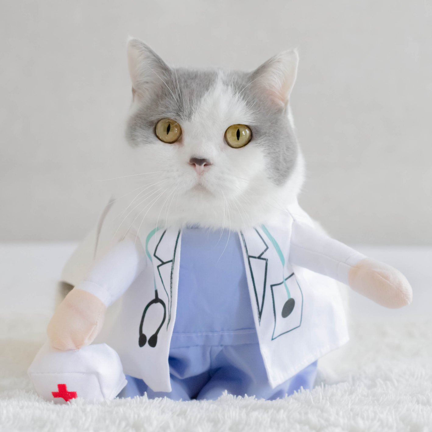 صيدلية إيجى فيت لعلاج القطط| Egy Vet pharmacy for cat